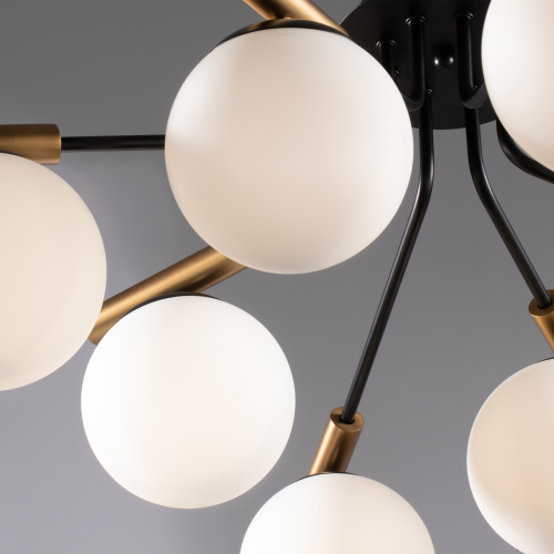 Потолочный светильник Freya FR5011CL-08B фото 2 Потолочный светильник Freya FR5011CL-08B фото 2